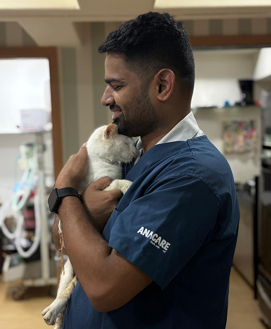 Free Medical Care