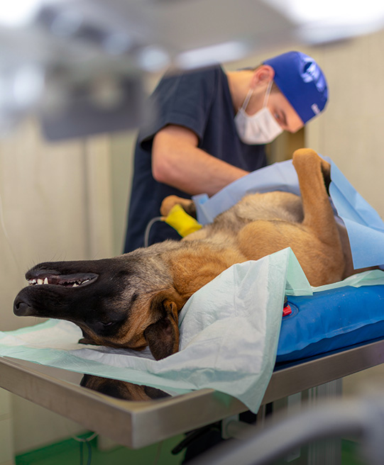 In-House Operation Theatre